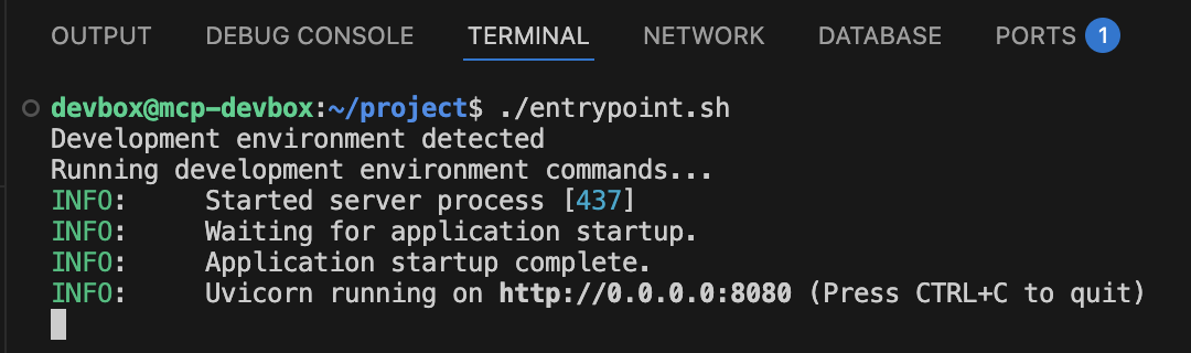 Run your DevBox project from the entrypoint script